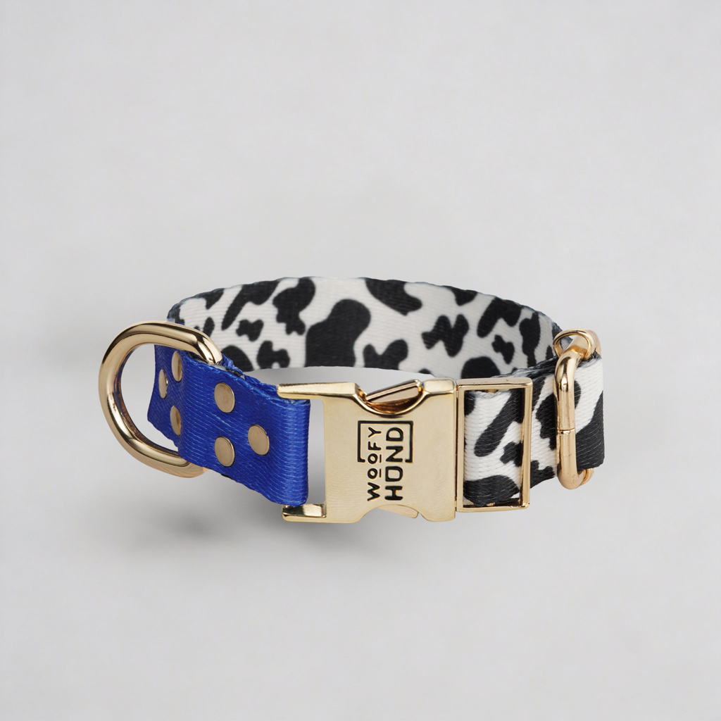 Halsband Blueberry-1