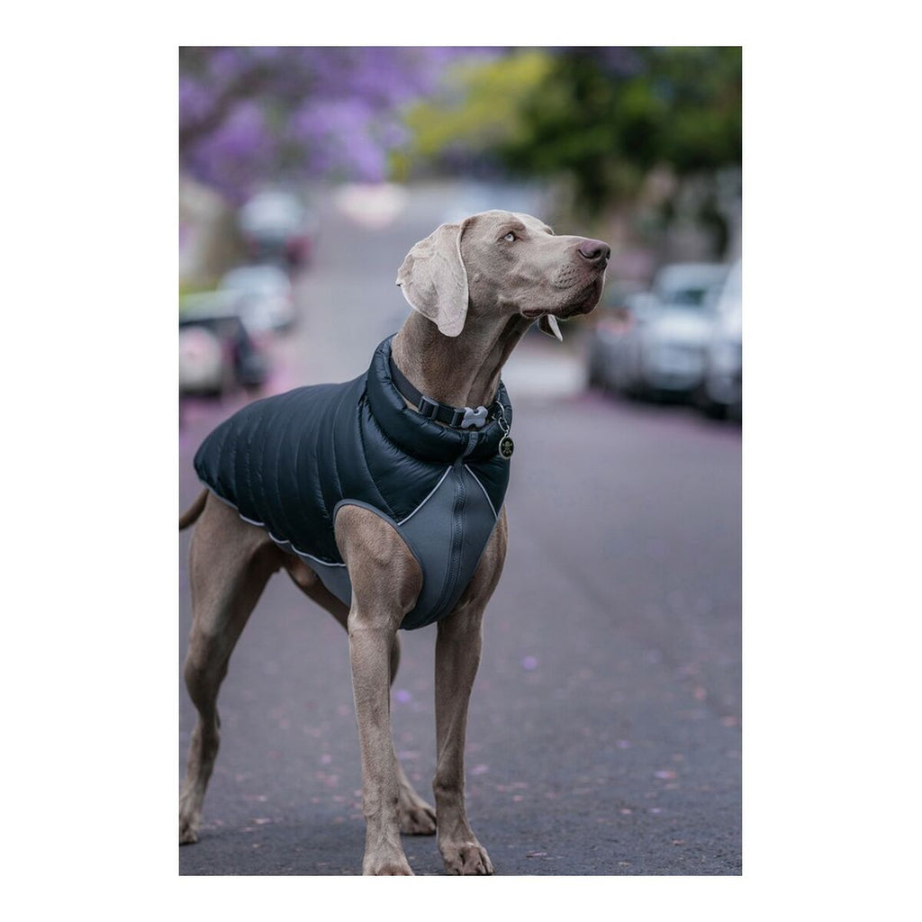 Dog Coat Red Dingo Puffer Black/Grey 25 cm-2