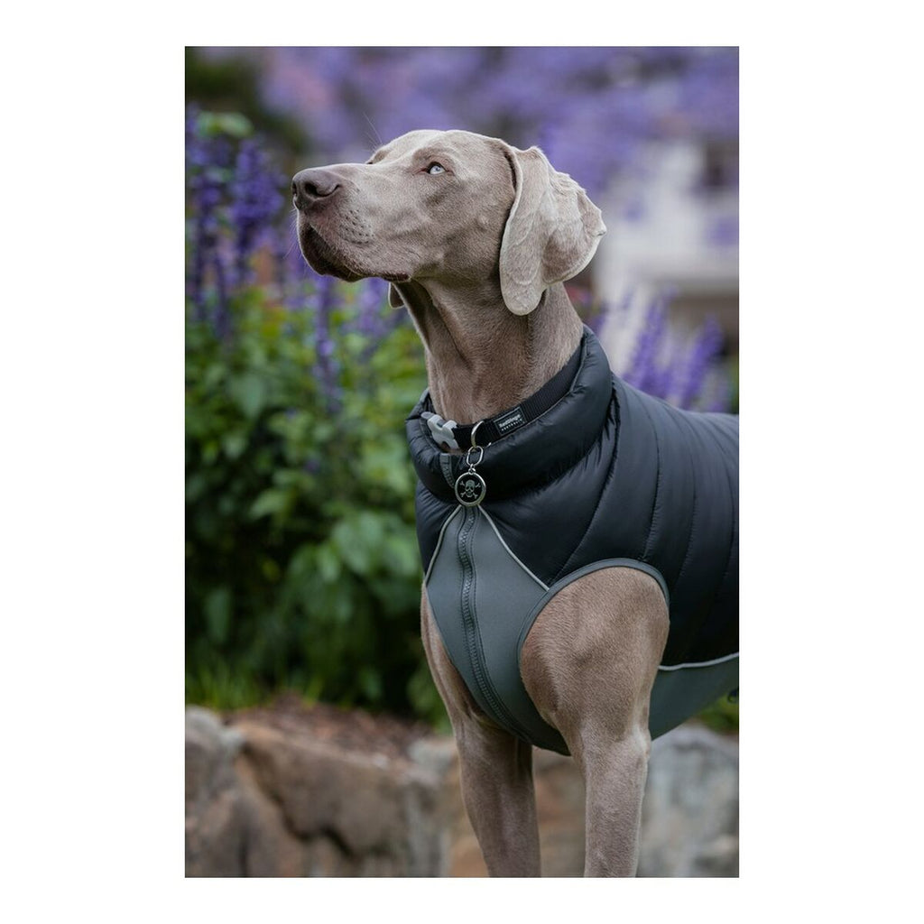 Dog Coat Red Dingo Puffer Black/Grey 25 cm-1