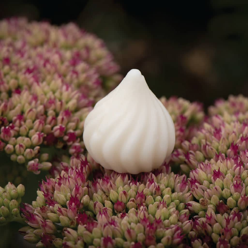 Wax Melts-4