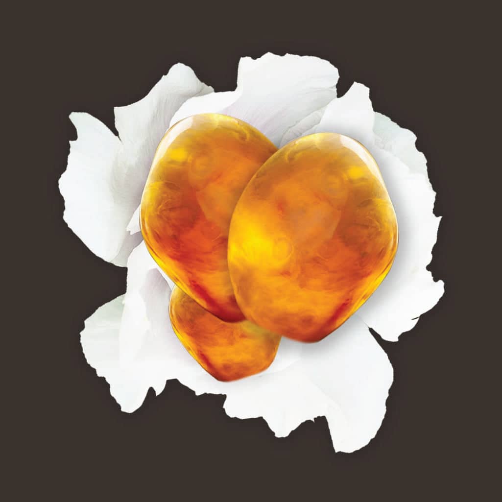 Wax Melts-15