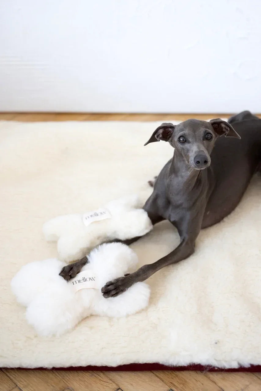 Natural Sheepskin Dog Toy - Bone - White-1