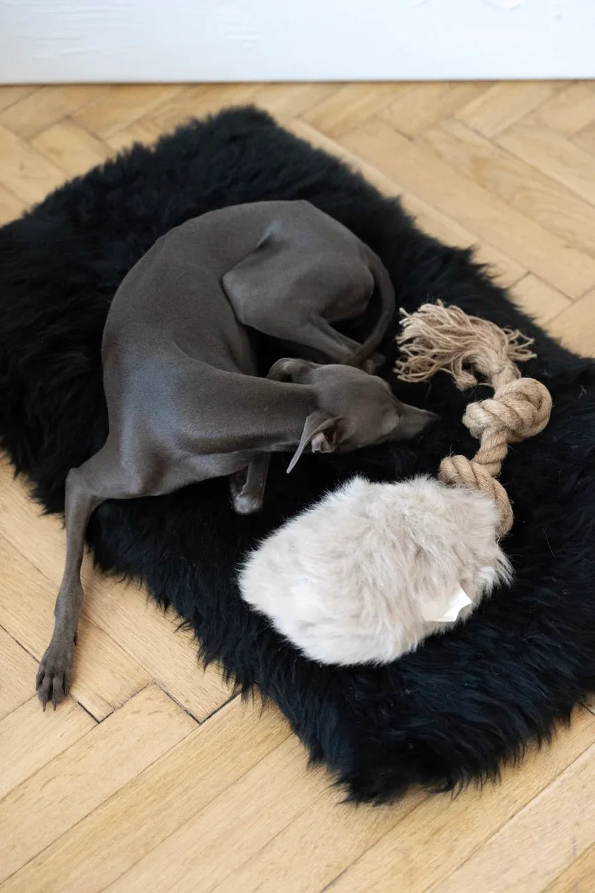 Natural Sheepskin Dog Tug Toy - Beige-0
