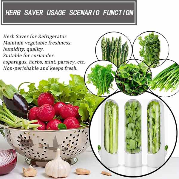 Recipient Mercaton pentru Depozitarea si Mentionerea Proaspata a Ierburilor Aromate in Frigider, BPA Free, 25 x 6.5 cm, Alb
