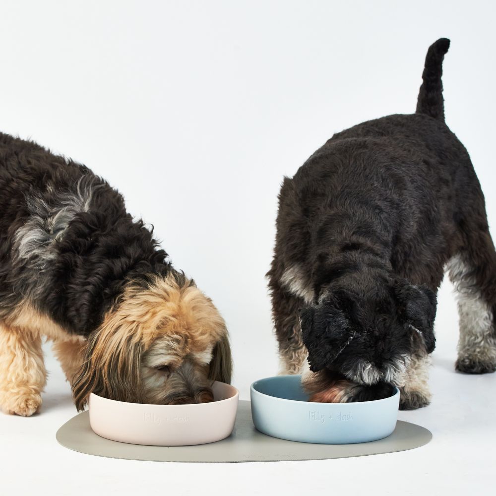 pet bowls-0