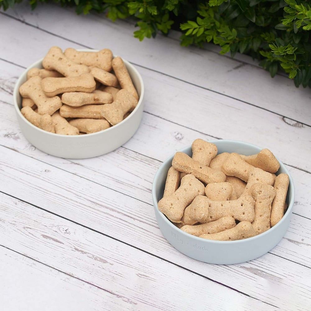 pet bowls-1